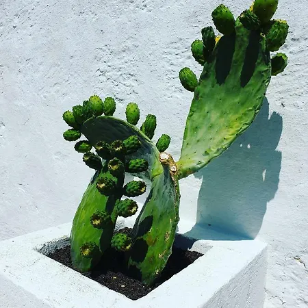 Christian's & Bed and Breakfast